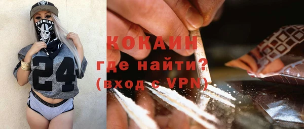 гашик Мегион