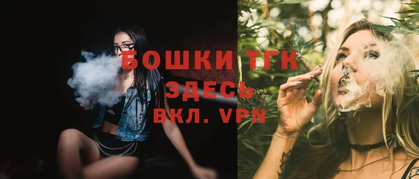 гашик Мегион