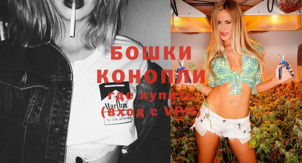 гашик Мегион