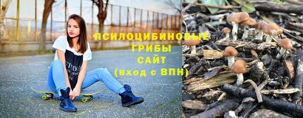 jwh Медногорск