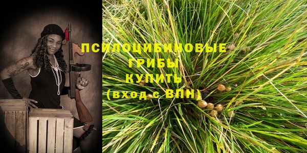jwh Медногорск