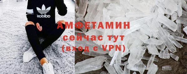 гашик Мегион