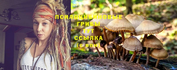 гашик Мегион