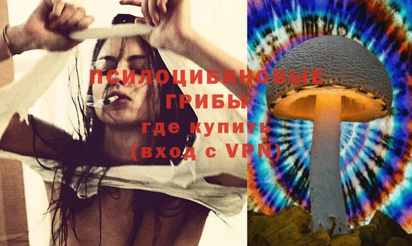 гашик Мегион